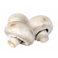 champignons